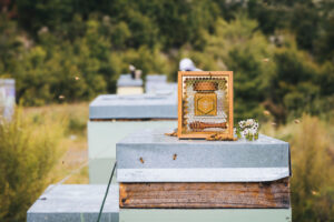 Luxury-Lifestyle-Awards_Manuka-South4